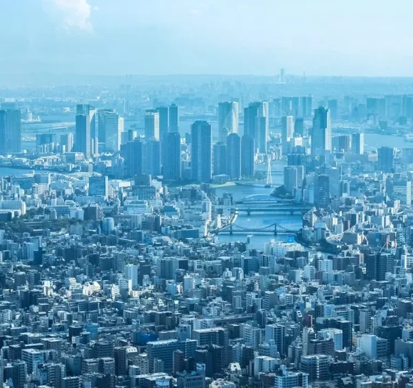 東京都を一望する風景