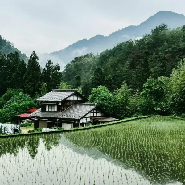 日本の美しい田舎の風景