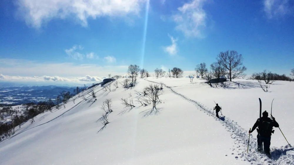 Niseko's Powder Snow Scenery
