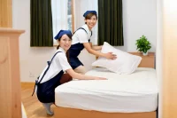 Housekeeping Services in Japan