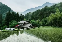 日本の美しい田舎の風景